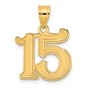 14k Yellow Gold Polished Etched Finish Number 15 Charm Pendant