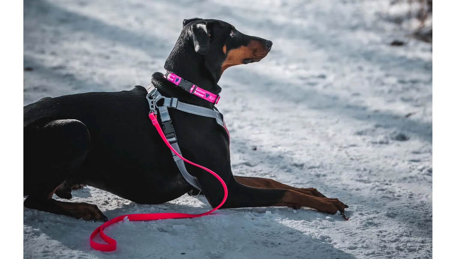 Dry Leash™